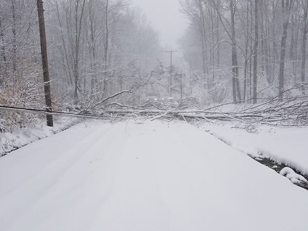 A scene of storm damage from Elmhurst, Pennsylvania in Lackawanna County.